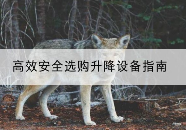隆化升降货梯厂家推荐-*安全选购升降设备指南