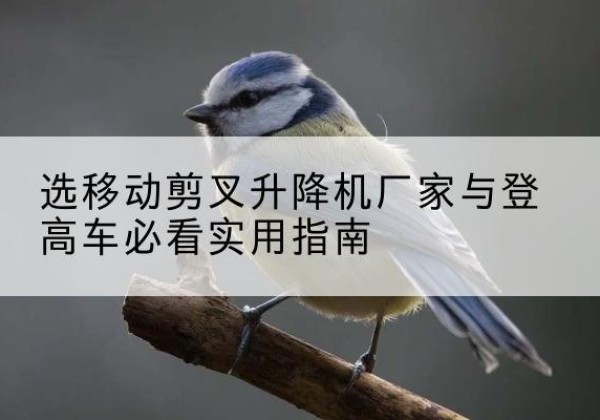 隆化电动升降机厂家-选移动剪叉升降机厂家与登高车必看实用指南