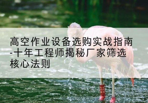 隆化剪叉式升降机厂家-高空作业设备选购实战指南-十年工程师揭秘厂家筛选核心法则